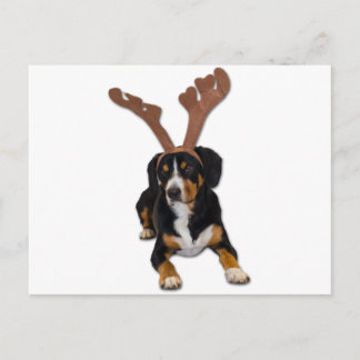 Cartes Pour Fêtes Annuelles Chien de Noël d'Entlebucher
