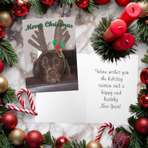 Cartes Pour Fêtes Annuelles Chien de Noël festif avec bois scintillants