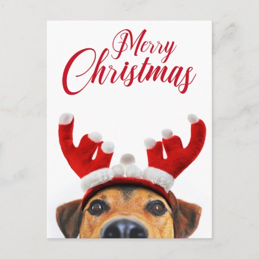 Cartes Pour Fêtes Annuelles Chien de Noël Funny mignon Reindeer Antler Headban (Devant)