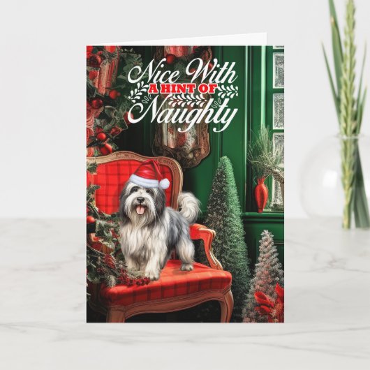 Cartes Pour Fêtes Annuelles Chien de Noël Lowchen Naughty ou Nice (Devant)