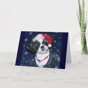 Cartes Pour Fêtes Annuelles Chien de Noël Shih Tzu