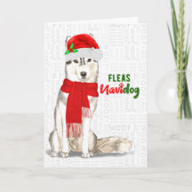 Chien de Noël Sibérien Chien de Noël Fleas NaviDOG