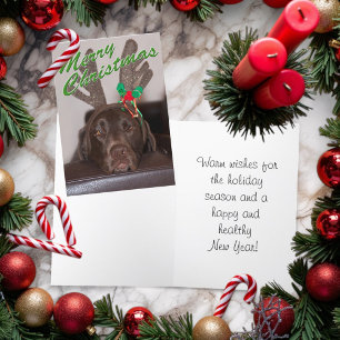Cartes Pour Fêtes Annuelles Chien de Noël somnolent portant des bois pailletés