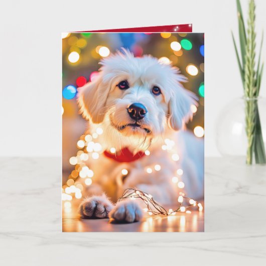 Cartes Pour Fêtes Annuelles Chien De Noël Tangé Dans Les Lumières (Devant)