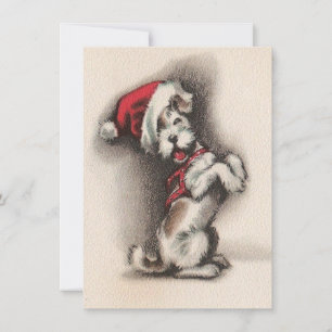 Cartes Pour Fêtes Annuelles Chien de Noël Vintage Santa Hat