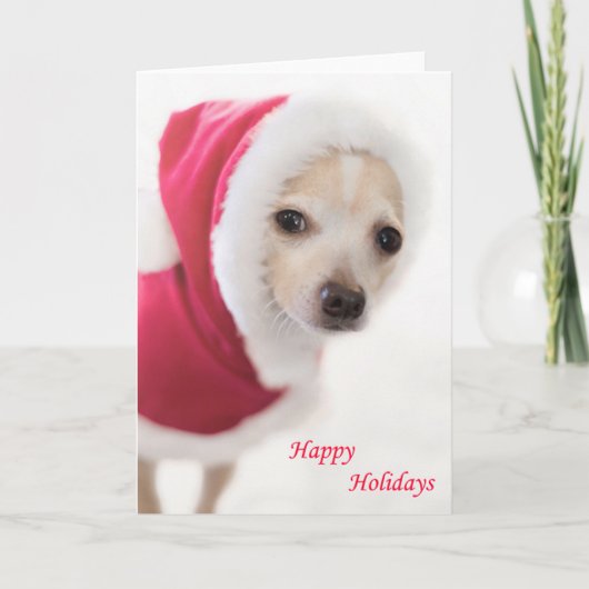 Cartes Pour Fêtes Annuelles Chien de Père Noël (Devant)