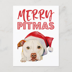 Cartes Pour Fêtes Annuelles Chien de pitbull de Père Noël de Noël joyeux