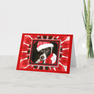Cartes Pour Fêtes Annuelles Chien de Sassy Père Noël