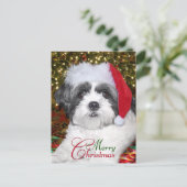 Cartes Pour Fêtes Annuelles Chien de Shih Tzu de Noël (Debout devant)