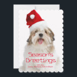 Cartes Pour Fêtes Annuelles Chien de sourire de Lhasa Apso utilisant le<br><div class="desc">Chien de Lhasa Apso utilisant le casquette de Père Noël</div>