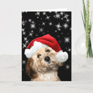 Cartes Pour Fêtes Annuelles Chien de Starry Père Noël