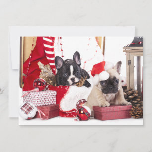 Cartes Pour Fêtes Annuelles Chien de taule français de Noël