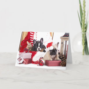 Cartes Pour Fêtes Annuelles Chien de taule français de Noël