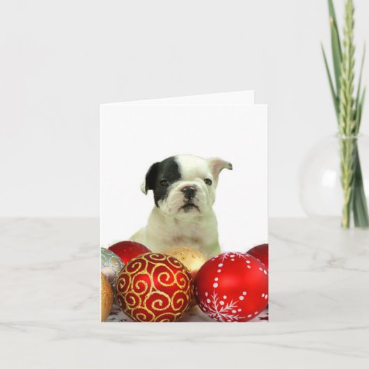 Cartes Pour Fêtes Annuelles Chien de taule français de Noël (Devant)