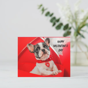 Cartes Pour Fêtes Annuelles Chien de taureau français de la Saint Valentin