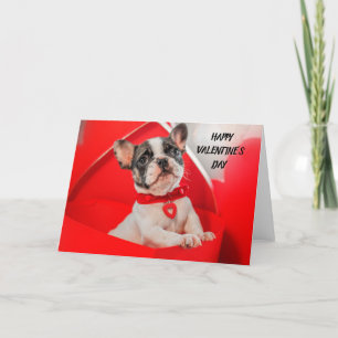 Cartes Pour Fêtes Annuelles Chien de taureau français de la Saint Valentin