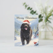 Cartes Pour Fêtes Annuelles Chien de Terre-Neuve (Debout devant)