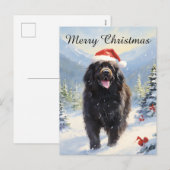 Cartes Pour Fêtes Annuelles Chien de Terre-Neuve (Devant / Derrière)