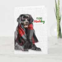 Chien de Terre-Neuve Drôle de Puces Navidog Noël