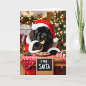 Cartes Pour Fêtes Annuelles Chien de Terre-Neuve Père Noël Cookies Noël (Devant)