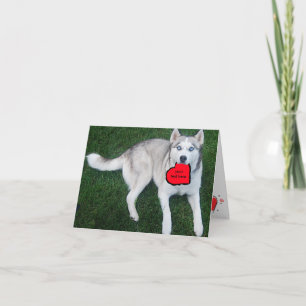 Cartes Pour Fêtes Annuelles Chien de traîneau sibérien personnalisable avec le