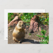 Cartes Pour Fêtes Annuelles Chien des Prairies à queue noire (Devant / Derrière)