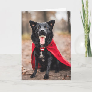 Cartes Pour Fêtes Annuelles Chien d'Halloween Dracula