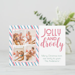 Cartes Pour Fêtes Annuelles Chien drôle et bébé quatre photos colorées