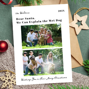 Cartes Pour Fêtes Annuelles Chien Drôle Photo de Famille Noël