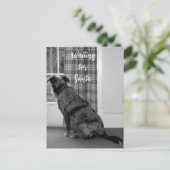 Cartes Pour Fêtes Annuelles Chien en attendant Père Noël Noël (Debout devant)