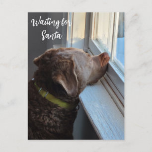 Cartes Pour Fêtes Annuelles Chien en en attente de Père Noël
