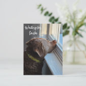 Cartes Pour Fêtes Annuelles Chien en en attente de Père Noël (Debout devant)