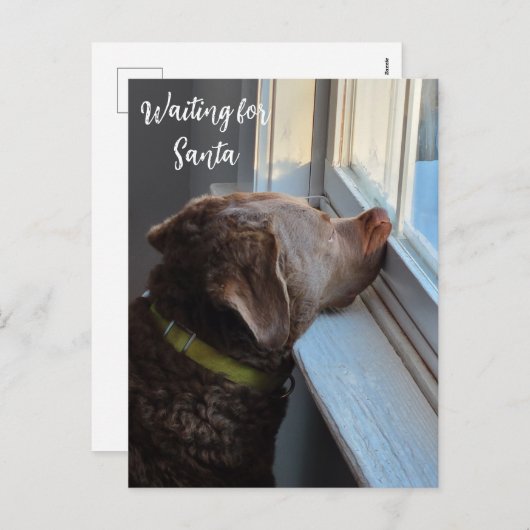 Cartes Pour Fêtes Annuelles Chien en en attente de Père Noël (Devant / Derrière)