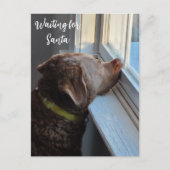 Cartes Pour Fêtes Annuelles Chien en en attente de Père Noël (Devant)