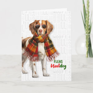 Cartes Pour Fêtes Annuelles Chien Épagneul Breton Drôle Puces Navidog Noël