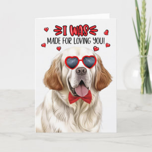 Cartes Pour Fêtes Annuelles Chien espagnol de plombier fait pour vous aimer Va