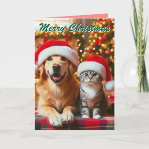 Cartes Pour Fêtes Annuelles Chien et chat de Noël festif