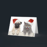 Cartes Pour Fêtes Annuelles Chien Et Chat En Casquette De Noël Rouge<br><div class="desc">Chat et chien en rouge casquette de Noël sur un arrière - plan blanc © et ® Bigstock® - Tous droits réservés.</div>