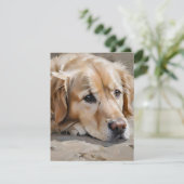 Cartes Pour Fêtes Annuelles Chien F (Debout devant)