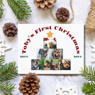 Cartes Pour Fêtes Annuelles Chien First Christmas Photo Tree, Animal de compag