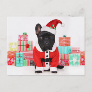 Cartes Pour Fêtes Annuelles chien habillé en Père Noël devant Noël