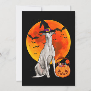 Cartes Pour Fêtes Annuelles Chien Halloween Greyhound Jack-o'-lantern Citrouil