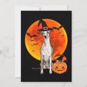 Cartes Pour Fêtes Annuelles Chien Halloween Whippet Jack-o'-lantern Citrouille (Devant)