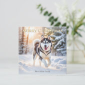 Cartes Pour Fêtes Annuelles Chien Husky en hiver Neige Joyeux Noël (Debout devant)