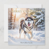 Cartes Pour Fêtes Annuelles Chien Husky en hiver Neige Joyeux Noël (Devant)