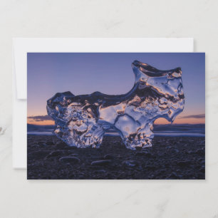 Cartes Pour Fêtes Annuelles Chien Iceberg