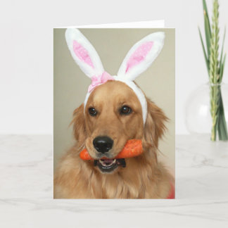 Cartes Pour Fêtes Annuelles Chien idiot de golden retriever avec des oreilles