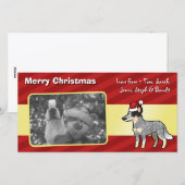 Cartes Pour Fêtes Annuelles Chien/Kelpie australiens de bétail de Noël (Devant / Derrière)