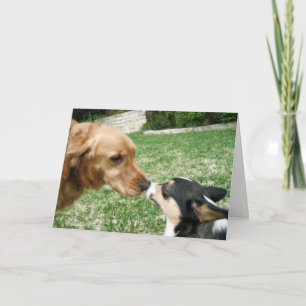 Cartes Pour Fêtes Annuelles Chien Kiss Romantique Saint Valentin