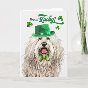 Cartes Pour Fêtes Annuelles Chien Komondor se sent chanceux à la Saint-Patrick